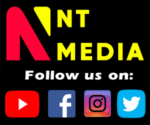 nt media social media links